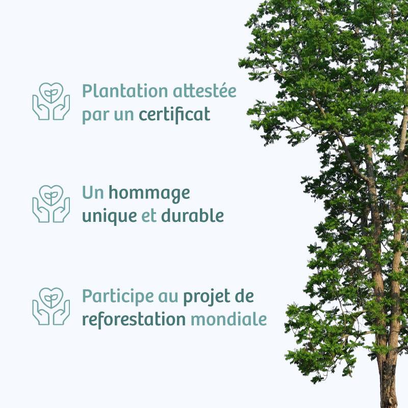 Planter un arbre en hommage à M. Bernard DELFOSSE